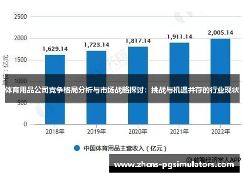 体育用品公司竞争格局分析与市场战略探讨：挑战与机遇并存的行业现状