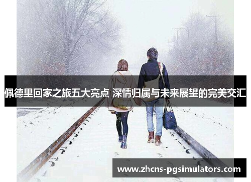 佩德里回家之旅五大亮点 深情归属与未来展望的完美交汇