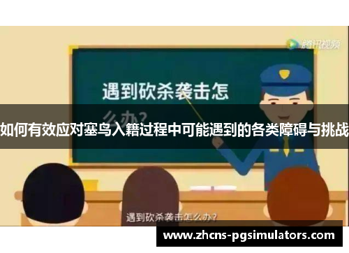 如何有效应对塞鸟入籍过程中可能遇到的各类障碍与挑战