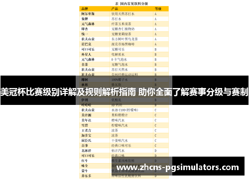 美冠杯比赛级别详解及规则解析指南 助你全面了解赛事分级与赛制