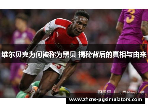 维尔贝克为何被称为黑贝 揭秘背后的真相与由来