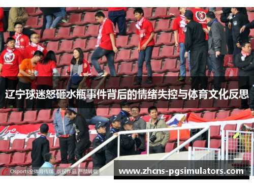 辽宁球迷怒砸水瓶事件背后的情绪失控与体育文化反思