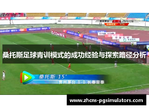 桑托斯足球青训模式的成功经验与探索路径分析