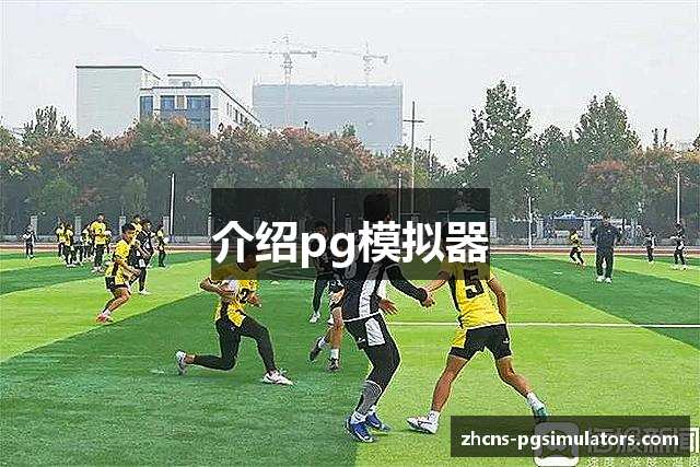 介绍pg模拟器